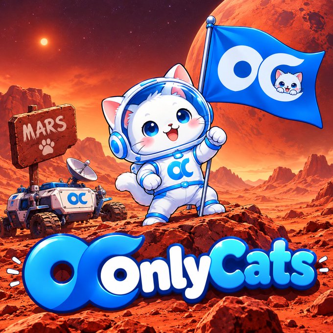 OnlyCats meme 3